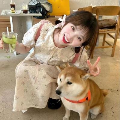 他她他她
